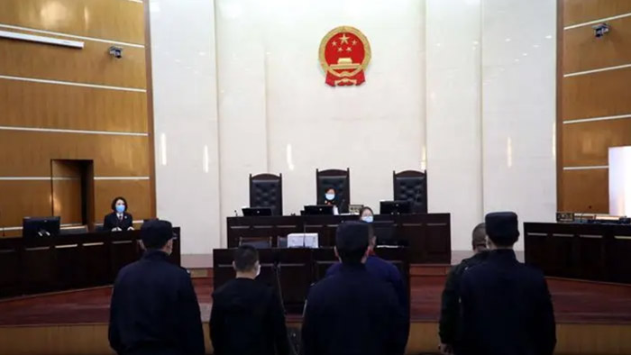 江西首例“认购碳汇”+“劳务代偿”刑附民公益诉讼案宣判 